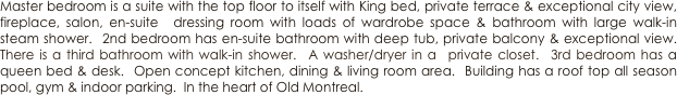 Master bedroom is a suite with the top floor to itself with King bed, private terrace & exceptional city view, fireplace, salon, en-suite  dressing room with loads of wardrobe space & bathroom with large walk-in steam shower.  2nd bedroom has en-suite bathroom with deep tub, private balcony & exceptional view.  There is a third bathroom with walk-in shower.  A washer/dryer in a  private closet.  3rd bedroom has a queen bed & desk.  Open concept kitchen, dining & living room area.  Building has a roof top all season pool, gym & indoor parking.  In the heart of Old Montreal.